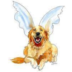 its Time to Say Goodbye