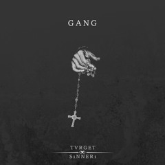Gang ft S1nner1