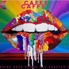 shire bass promo mix chapter 2