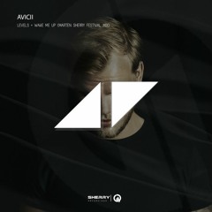 Avicii - Levels + Wake Me Up (Marten Sherry Festival Mashup Mix)