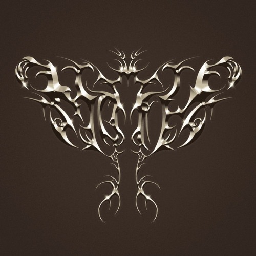 Moth