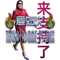 爱如火 THUNDERDOME '95 MIX