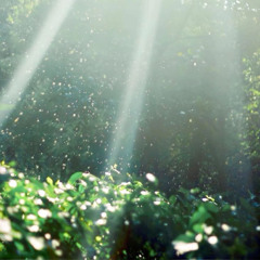 Related tracks: sunlight (WINNER OF CF1)