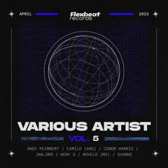FBRVA005 - Flexbeat Records - Various Artists Vol. 5