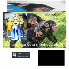 i <3 monkeys