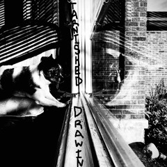 Tarnished Drawings