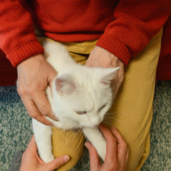 Heitä turhat huolesi