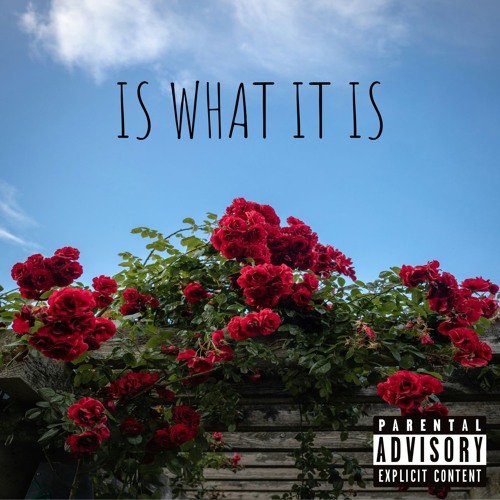 IS WHAT IT IS