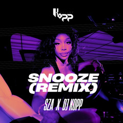 Snooze ( Kopp Remix )