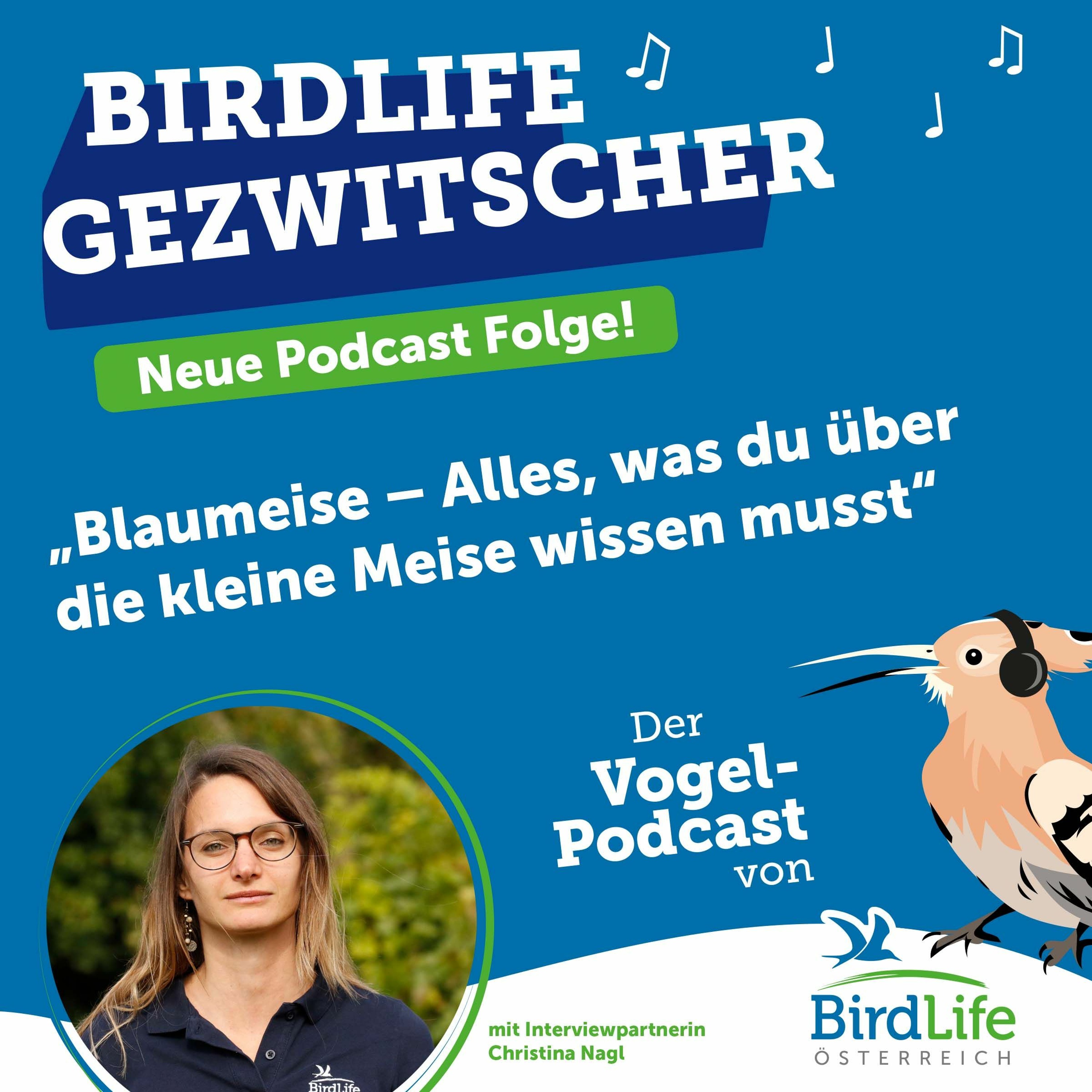 BirdLife Gezwitscher