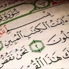سورة يوسف -مشاري العفاسي رواية ورش
