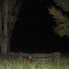 {{k6bramixx}} fuk yo gang