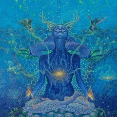 Ayahuasca Revelou - Various Artists