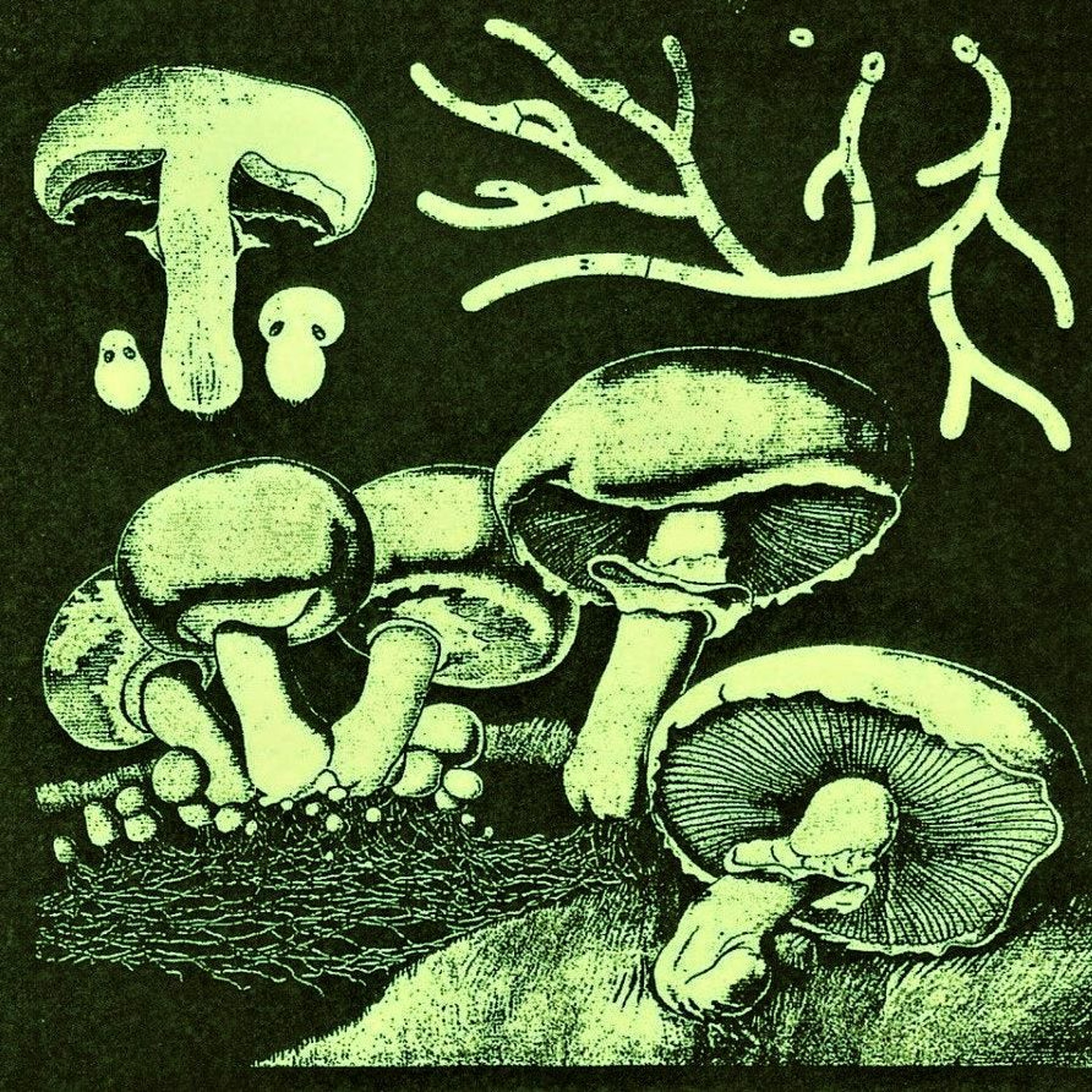 EcoJustice Radio
