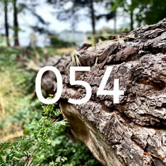 Synthesis : 054