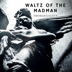Waltz Of The Madman (Instrumental)