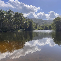 Hamza - J’en demande ´Exclue 2´