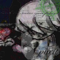 SH4D0WS0FEV1L(V1BRAN7_SW4GGER) MIX