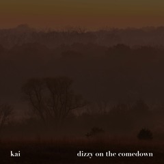 Dizzy on the Comedown (Cover)