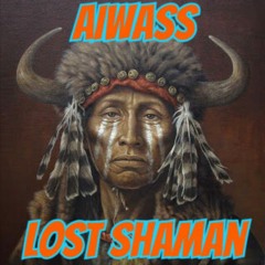 Lost Shaman