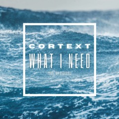 CORTEXT - WHAT I NEED