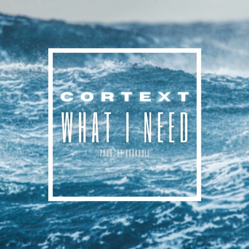 CORTEXT - WHAT I NEED