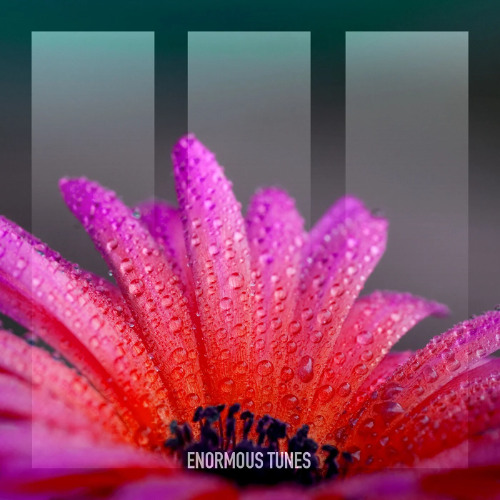 PREMIERE: Croatia Squad, Me & My Toothbrush - Take Me Up (Extended Mix) [Enormous Tunes]