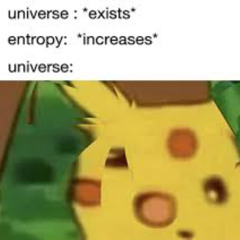 We'll all be fucked by the long dick of entropy