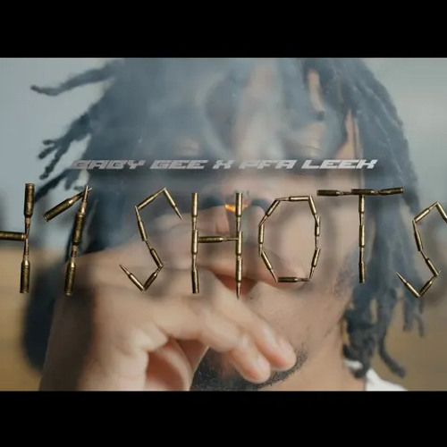 Baby Gee x PFA Leek - 41 Shots