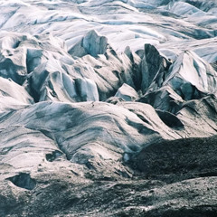 Abby Lee Tee - The Kits Are Alright (sounds of beaver kits in their lodge along the Danube river)