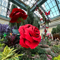 Forte Radio - 003 (Las Vegas Edition)