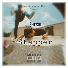 Stepper