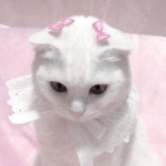 エゴエゴアタクシ(Original version ｼ not remix,cover!)