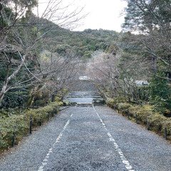 Leaf Quake (Kyoto remix)