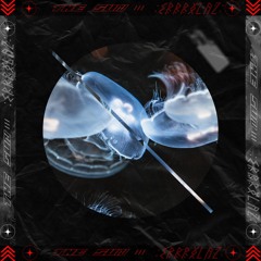 𝘛𝘩𝘦 𝘚𝘶𝘯