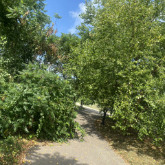 Pain - gutta x surfie x mills x 2shotta