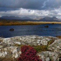 Bridget O'Malley - Irish Trad (Guitar instrumental)