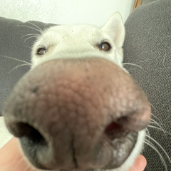 demons around (slowed)