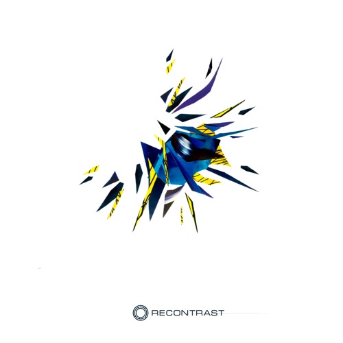 Copy of Daily Drops
