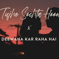 Tujhe Sochta Hoon x Deewana Kar Rha ( Remix )