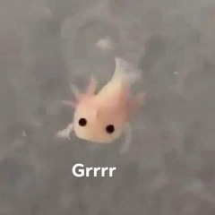 ✦