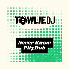 Never Know (PityDub) **FREE DOWNLOAD**