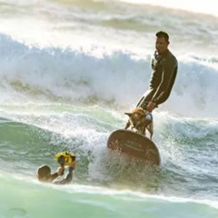 Surfing The Water Surface