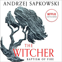 READ EPUB 📬 Baptism of Fire: The Witcher, Book 3 by  Andrzej Sapkowski,David French
