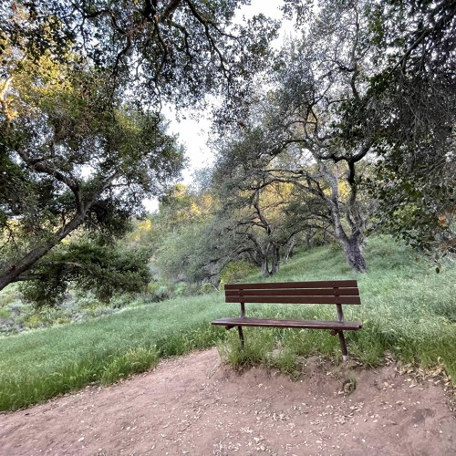 2k22 Ambient Spring Samples [ft - @sasmochi @rxmer @pvtjokerbeats @6grantt]