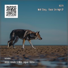 PREMIERE: Wolf Story - Raise' Em High (Original Mix) [Beachside Records]