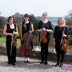 All Of Me John Legend Arranged for String Quartet