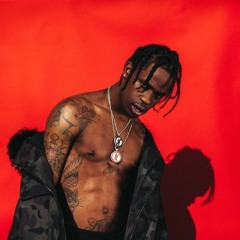 Travis Scott - Goosebumps (C.Cole Remix)