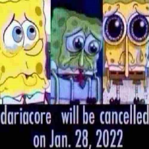 the vibe formally known as "da***c***" essentials