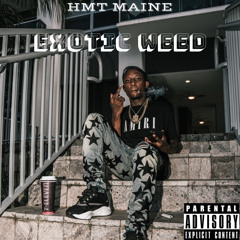 HMT Maine x Exotic Weed